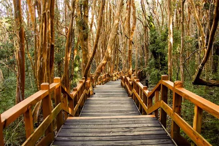 Alojamientos en Río Negro | Turismo en Río Negro | Alquileres en Río Negro