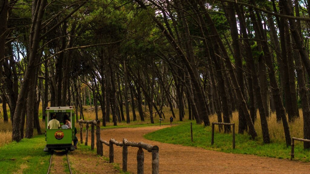 Alojamientos en La Costa Atlántica | Guía de Turismo, Alquileres y Alojamientos en La Costa Atlántica