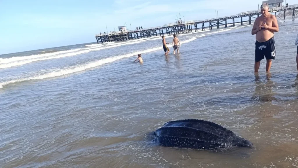 Alojamientos en La Costa Atlántica | Guía de Turismo, Alquileres y Alojamientos en La Costa Atlántica