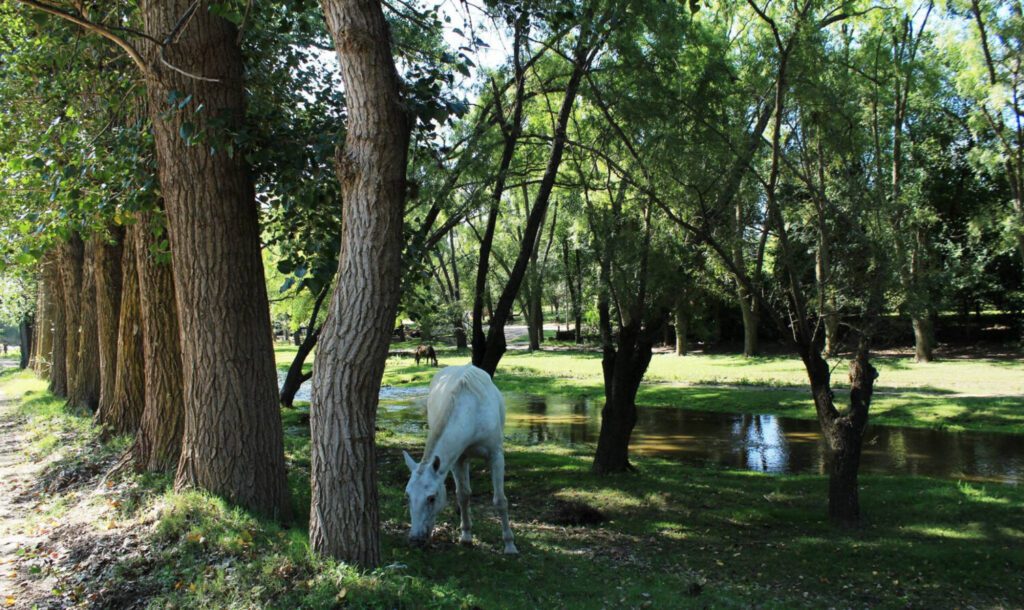 Guía de Alojamientos en Punilla Córdoba. Hoteles, Cabañas, Alquileres Temporarios en Punilla Córdoba
