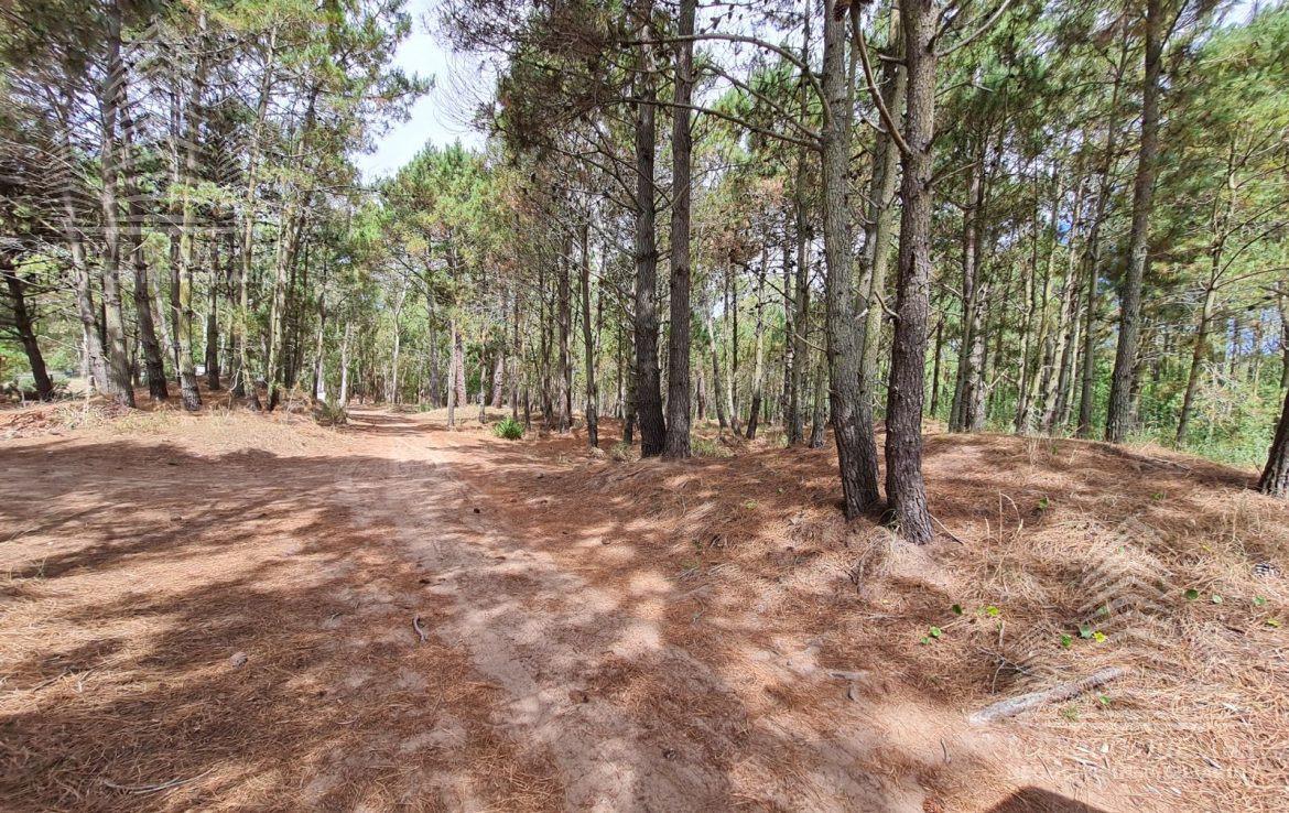 Turismo en Lucila del Mar | Turismo en Argentina | Alojamientos en Lucila del Mar