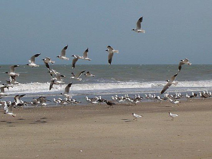 Turismo en Las Gaviotas | Turismo en Argentina | Alojamientos en Las Gaviotas