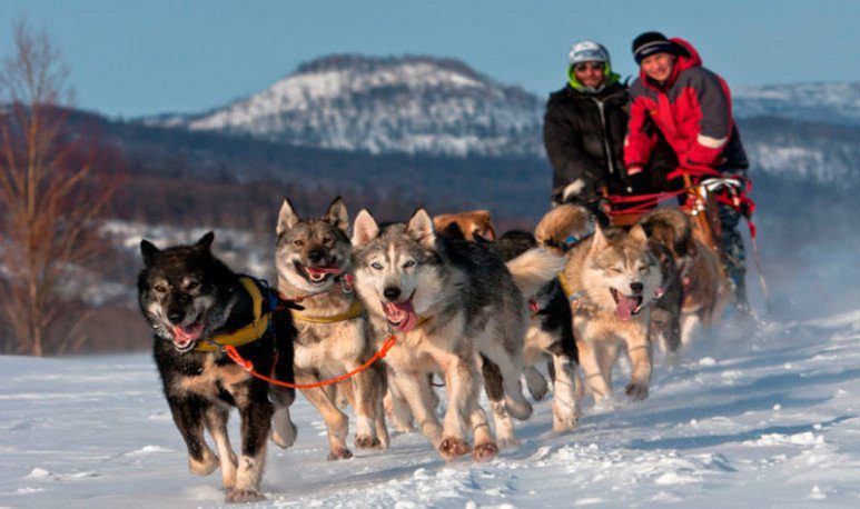 Alojamientos en Tierra del Guía de Fuego, Hoteles, Cabañas, Alquileres en Tierra del Fuego Turismo