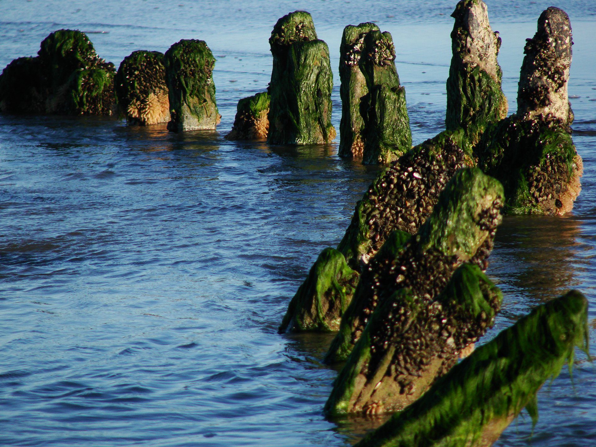 Turismo en Costa del Este | Turismo en Argentina | Alojamientos en Costa del Este