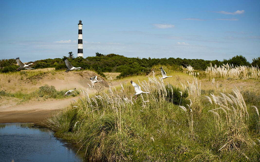 Turismo en Las Gaviotas | Turismo en Argentina | Alojamientos en Las Gaviotas