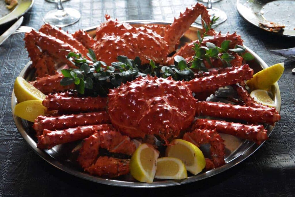 Alojamientos en Tierra del Fuego, Hoteles, Cabañas, Alquileres en Tierra del Fuego Turismo