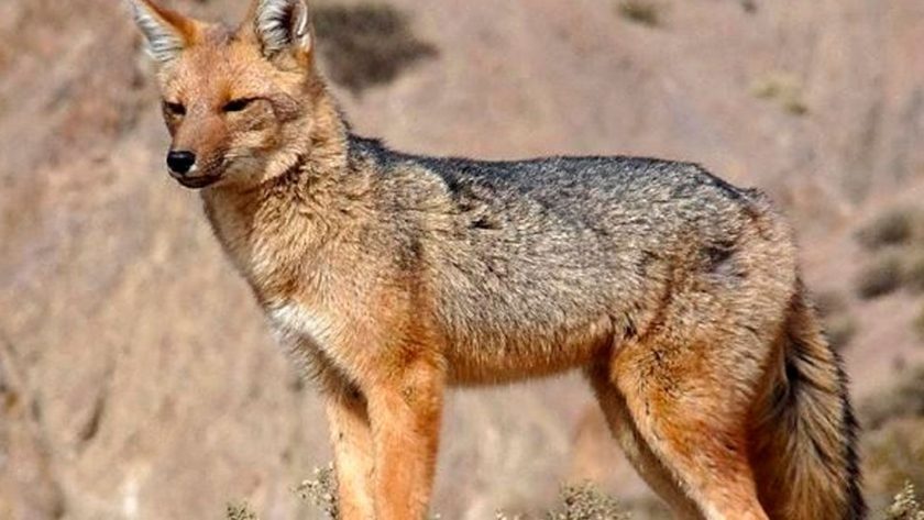 Alojamientos en Tierra del Fuego, Hoteles, Cabañas, Alquileres en Tierra del Fuego Turismo