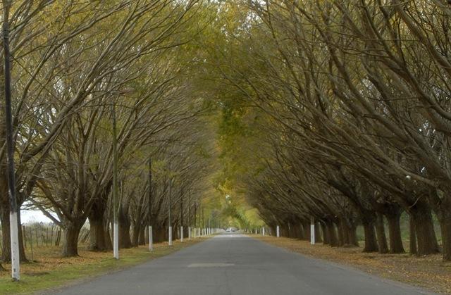 Turismo en Lucila del Mar | Turismo en Argentina | Alojamientos en Lucila del Mar