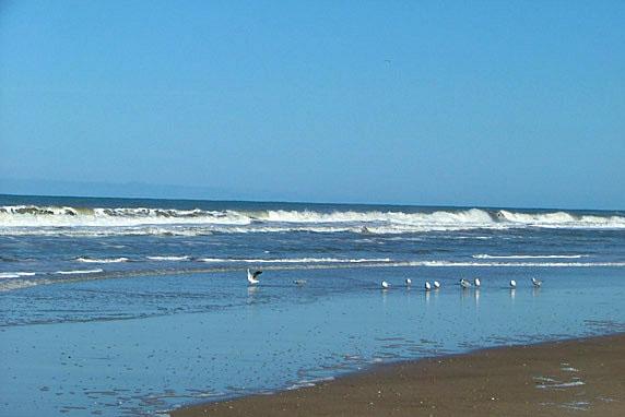 Turismo en Las Gaviotas | Turismo en Argentina | Alojamientos en Las Gaviotas